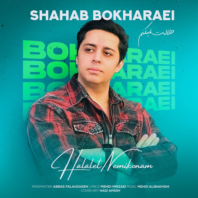 دانلود آهنگ حلالت نمیکنم